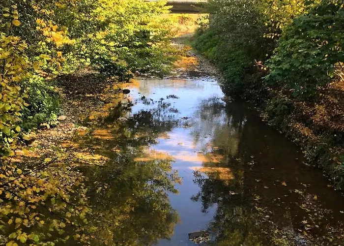 度假村 丽乐雅酒店 3*