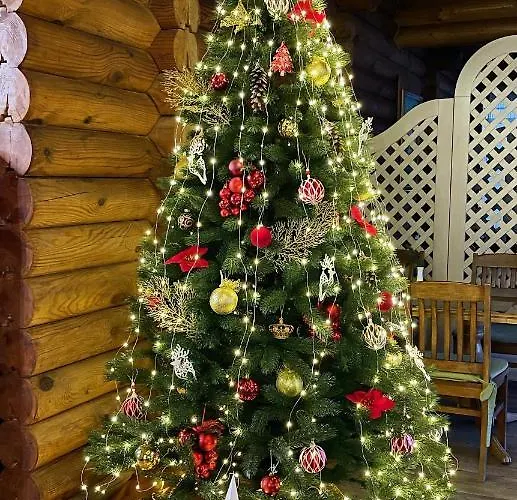 度假村 丽乐雅酒店 3*