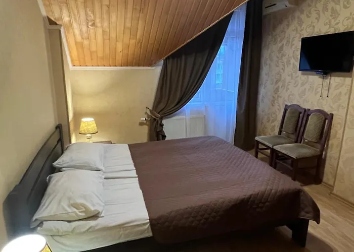 度假村 丽乐雅酒店 3*